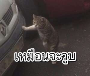 editor