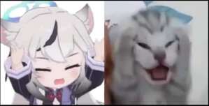 editor