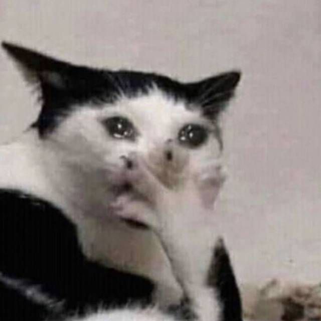  Chapter Nekopost
